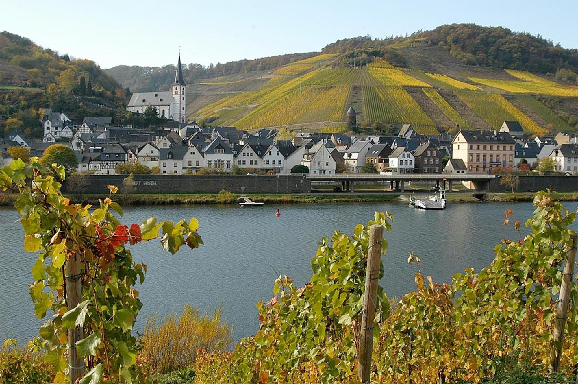 Appartement Weingut Rosenbaum à Briedel Extérieur photo