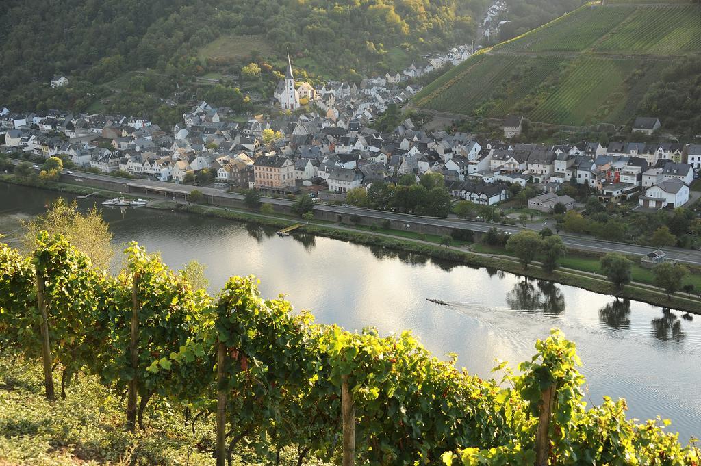 Appartement Weingut Rosenbaum à Briedel Extérieur photo