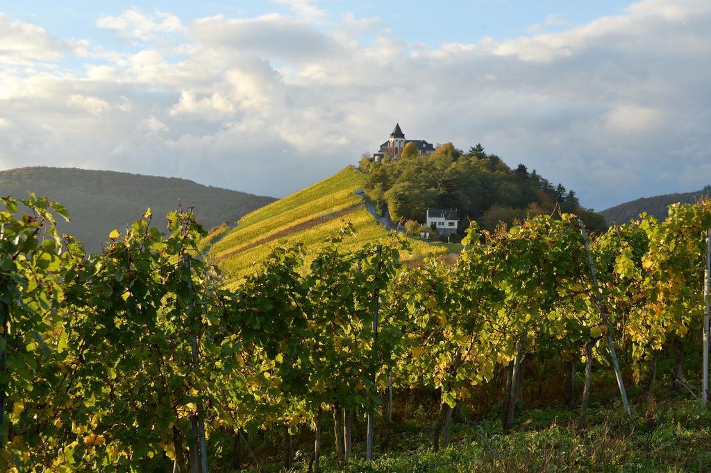 Appartement Weingut Rosenbaum à Briedel Extérieur photo